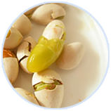 �Ƿ�����(�й���)-�ٷ���վ